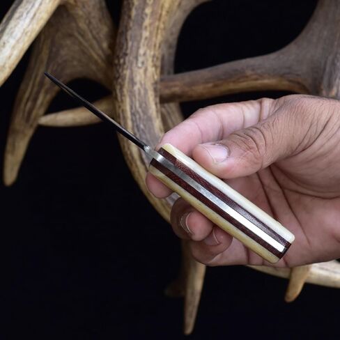 Knives Ranch DANDY Knife - EDC Fixed Blade - High Carbon Steel Skinning Knife - Cattle Bone Handle - Horizontal Carrying Cowboy Sheath Snug Fit (2006C-B) in Saudi Arabia