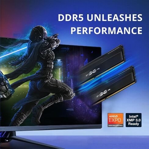 سيليكون باور DDR5 64 جيجابايت (2 × 32 جيجابايت) زينيث 5600 ميجاهرتز (PC5-44800) 288 دبوس CL40 1.25 فولت UDIMM وحدة ذاكرة سطح المكتب ذاكرة الوصول العشوائي SP032GXLWU560FDE أسود معدني in Saudi Arabia