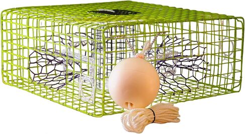 Florida Medium Blue Crab Trap – 24 x 14 x 11 Crab Pot for Recreational Crabbing – Two-Throat Entry Fishing Trap – PVC Coated Wire Saltwater Crab Trap in Saudi Arabia