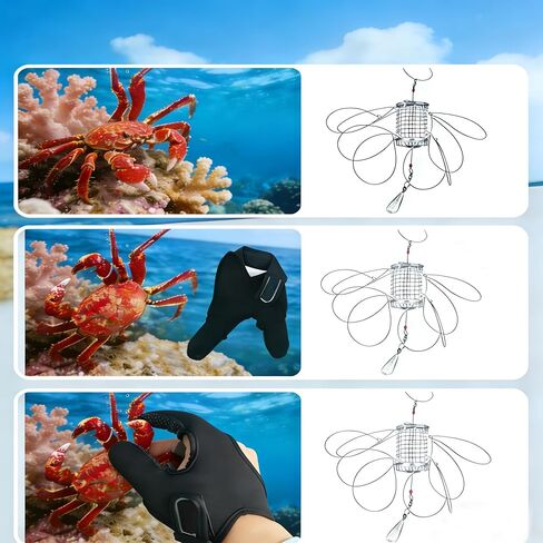 3 Pack Stainless Steel Crab Trap - 8-Loop Cylindrical Crab Snare with Glove & Lead Sinkers, Suitable for Dungeness, Blue, Red & Rock Crab, Ready to Use for Beach, Pier & Dock Fishing in Kuwait