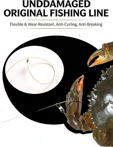 3 Pack Stainless Steel Crab Trap - 8-Loop Cylindrical Crab Snare with Glove & Lead Sinkers, Suitable for Dungeness, Blue, Red & Rock Crab, Ready to Use for Beach, Pier & Dock Fishing in Kuwait