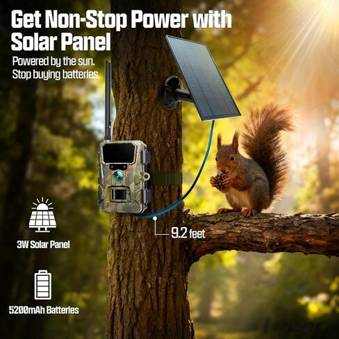 كاميرا CEYOMUR Trail مع بطاقة TF سعة 64 جيجابايت، وكاميرا خلوية 4G LTE مع بطارية 5200 مللي أمبير في الساعة، وبث مباشر بدقة 2K HD، وكاميرات ألعاب تعمل بالطاقة الشمسية مع حركة رؤية ليلية مقاومة للماء IP66 in Kuwait