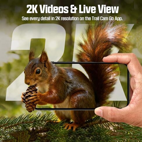 كاميرا CEYOMUR Trail مع بطاقة TF سعة 64 جيجابايت، وكاميرا خلوية 4G LTE مع بطارية 5200 مللي أمبير في الساعة، وبث مباشر بدقة 2K HD، وكاميرات ألعاب تعمل بالطاقة الشمسية مع حركة رؤية ليلية مقاومة للماء IP66 in Kuwait