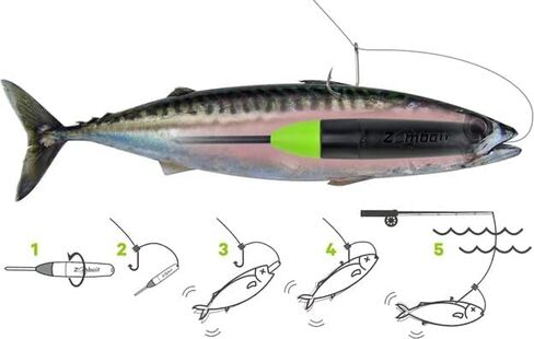 Ultimate Tackle Box Tool Zombait 2 Pack Lures Live Bait Action When You Need It Most in Saudi Arabia