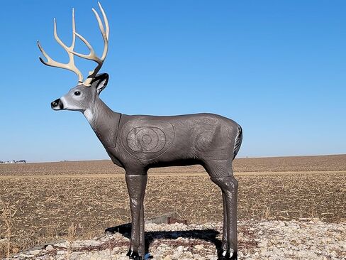 هدف الرماية Delta McKenzie مقاس 1/3 من Mule Deer ثلاثي الأبعاد - هدف تمرين ممتاز لصيد القوس ذاتي الشفاء من الرغوة مع حلقات تسجيل - هدف غزال واقعي ومحمول بوزن 16 رطل للمركب والأقواس المتقاطعة in Kuwait