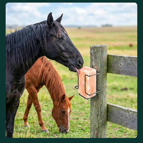 U0U 2 Pcs Salt Block Holder for Deer Blocks,Rust Resistant Mineral Block Holder,Salt Lick Block Holder for Horses Deer Cattle Sheep Goats Livestock,Fits Standard 4 lb Salt Blocks in Saudi Arabia