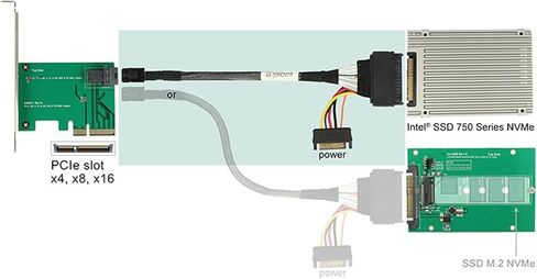 Cablecc U.2 U2 SFF-8639 NVME PCIe SSD Cable for Mainboard Intel SSD 750 p3600 p3700 M.2 SFF-8643 Mini SAS HD in Saudi Arabia
