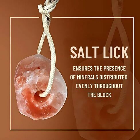 Pink Salt Wall Natural Deer Salt Lick Block – 5 to 6 Lb Mineral Supplement for Deer and Wildlife in Saudi Arabia
