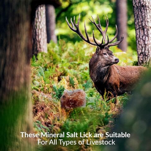 Pink Salt Wall Natural Deer Salt Lick Block – 5 to 6 Lb Mineral Supplement for Deer and Wildlife in Saudi Arabia