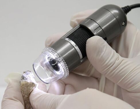 AM413ZT USB مجهر رقمي محمول مع القياس والضوء المستقطب in Saudi Arabia