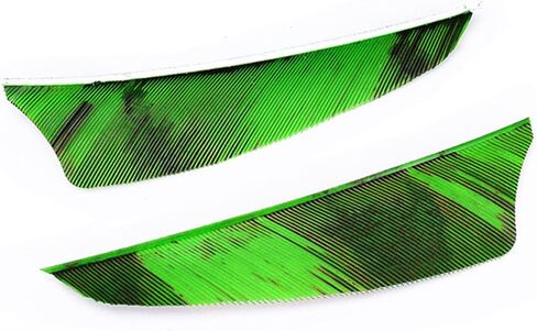 30pcs Turkey Feather Fletching 3/4 inch Arrow Feathers Vanes Arrow Fletching Right Wing for DIY Hunting Shooting Target Arrows in Saudi Arabia