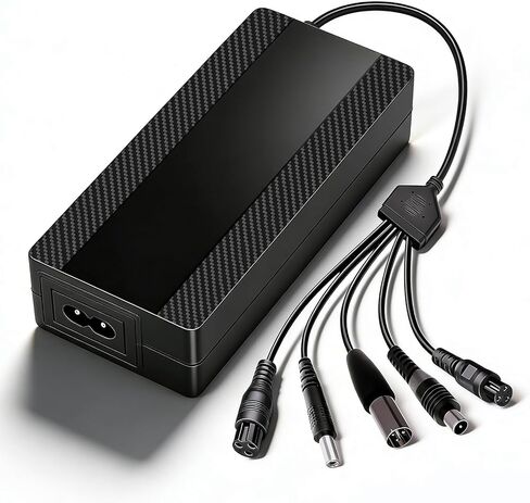 54.6V 1.6A Lithium Battery Charger for 48V (13S) Battery Systems, 5-in-1 Plug Smart Ebike Charger for Gotrax, Jetson, Razor, Swagtron, Bird, Segway,UL Certified in Saudi Arabia