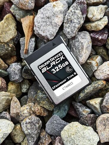 Delkin Devices 325GB Black CFexpress Type B 2.0 Memory Card | 1860MB/s Read, 1700MB/s Write | Rugged Camera Memory Card for Professional Photographers and Videographers in Saudi Arabia