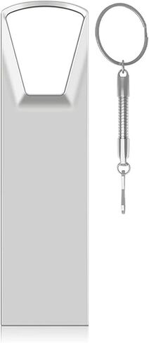 32GB USB Flash Drive with Type C Adapter and Lanyard, USB 2.0 High Speed Pen Drive, Mini Storage Memory Stick for Phone/Pad/PC/Laptop - (Silver 32GB) in Saudi Arabia