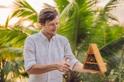 Camas Mason Bee House Attractant, Unique Solitary Pollinator Supplies Such as Mason Bee House Lure can greatly Benefit Mason Bee or Leaf Cutter Bee Nesting Kits in Saudi Arabia