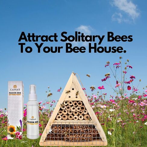 Camas Mason Bee House Attractant, Unique Solitary Pollinator Supplies Such as Mason Bee House Lure can greatly Benefit Mason Bee or Leaf Cutter Bee Nesting Kits in Saudi Arabia