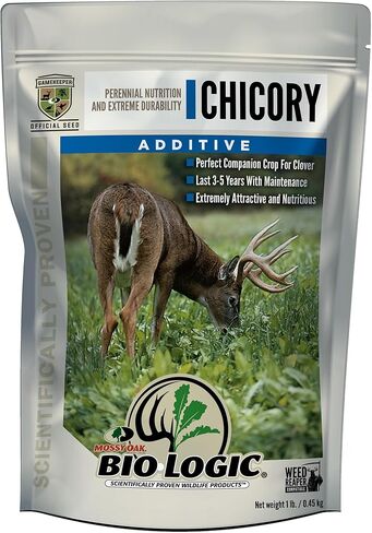 مادة مضافة للأداء من BioLogic Chicory Food Plot، بذور مضافة لأصناف الهندباء البرية، مصدر بروتين مثالي للمناطق الجافة، 1 رطل من نباتات الأكياس 1/8 فدان in Kuwait