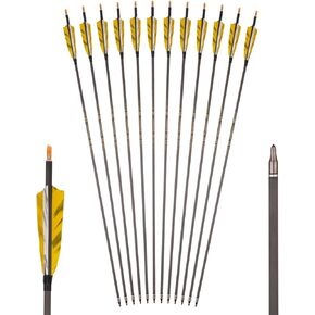 Carbon Arrows 12-Pack – 300/500/600 Stiffness, 30", 6.2mm bore, 0.003" Straightness, 4" Turkey Feathers, Replaceable arrowheads, Arrow Pin Nock, for recurve & Conventional Bows in Saudi Arabia