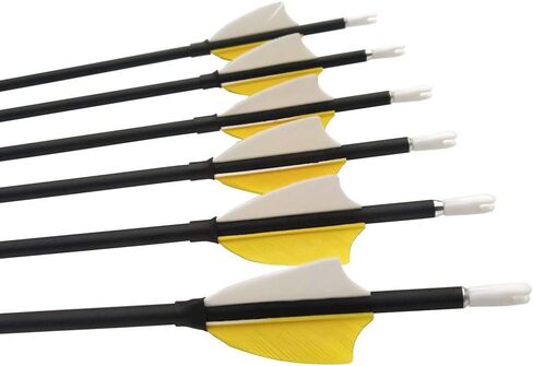 31Inch Archery Carbon Arrows Hunting Arrows Spine 1000 with 2" Turkey Feathers Shooting Tips for Compound Recurve Bow 12 Pieces (Black) (12 x Yellow Arrows) in Saudi Arabia