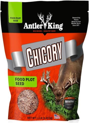 بذور قطعة طعام من Antler King Chicory | 1 رطل كيس من الهندباء البرية هاردي موسم بارد معمر للغزلان | ينمو بسرعة، ويتحمل الجفاف ودرجة الحموضة | نباتات 1/4 فدان in Kuwait