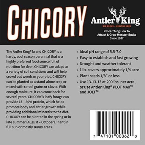 بذور قطعة طعام من Antler King Chicory | 1 رطل كيس من الهندباء البرية هاردي موسم بارد معمر للغزلان | ينمو بسرعة، ويتحمل الجفاف ودرجة الحموضة | نباتات 1/4 فدان in Kuwait