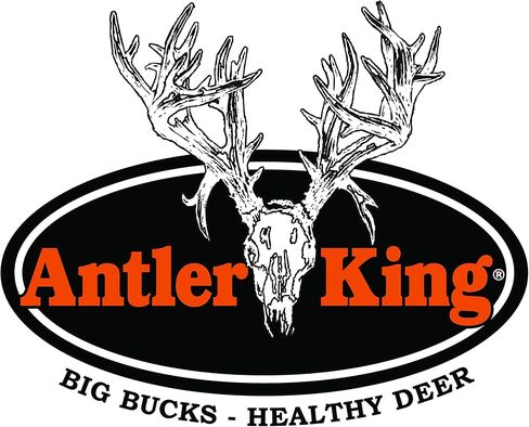 بذور قطعة طعام من Antler King Chicory | 1 رطل كيس من الهندباء البرية هاردي موسم بارد معمر للغزلان | ينمو بسرعة، ويتحمل الجفاف ودرجة الحموضة | نباتات 1/4 فدان in Kuwait