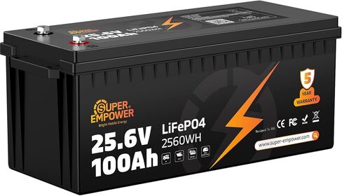 12V 100Ah LiFePO4 Lithium Battery- BCI Group 31, Deep Cycle RV LiFePO4 Battery with Low-Temp Protection, 100A BMS, 1280Wh, Max.15000 Cycles, 10-Year Lifespan for RV, Solar, Trolling Motor, (2 PACK) in Saudi Arabia