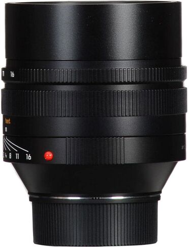 Leica 50mm / f0.95 ASPH. (E60) in Saudi Arabia