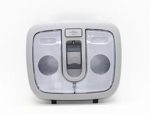 Reading Light For Rio Rio5 2012-928101W000 Dome Map Light Overhead Console Sunroof in Saudi Arabia