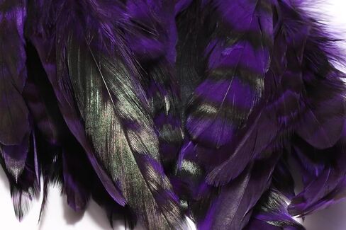 Hareline Fly Tying Barred Variant Schlappen 5–7 Inch – Barred Webby Feathers for Fly Tying Streamers, Bass & Saltwater Flies in Saudi Arabia
