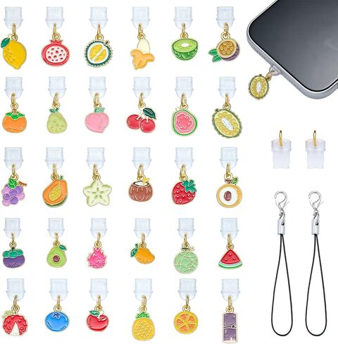 30Pcs Fruit Dust Plug Charm Type C Cute USB C Phone Dust Plug Charm with Alloy Colorful Enamel Phone Charms Charging Port Pandants for Earphone E-Reader Protector Accessory in Saudi Arabia