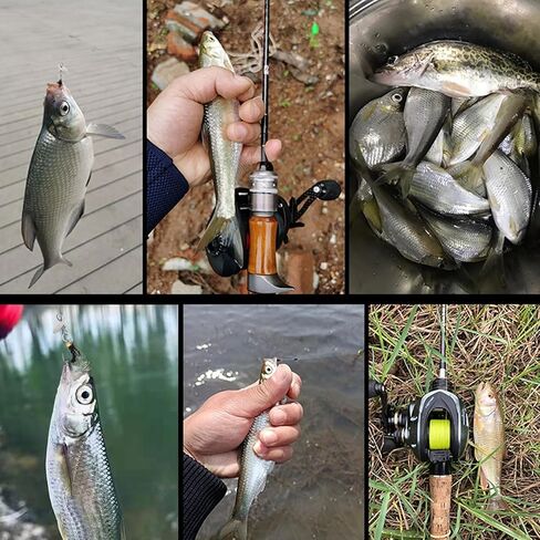 5pcs Fly Fishing Lures with Spinner, Trout Spinners, Fly Fishing Sequins Lures Kit for Bass Trout Salmon Sunfish Pike in Saudi Arabia