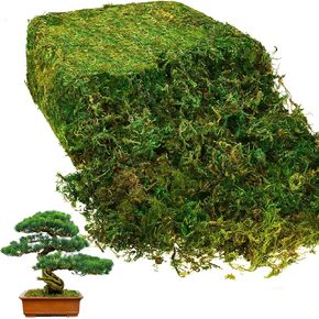 Giegxin Natural Green Sheet Moss Preserved Moss Terrarium Moss Green Moss Decor for Plant Crafts Flower Grass Floral Moss for Garden Lawn Crafts Wedding Decor Flower Filler (28oz)