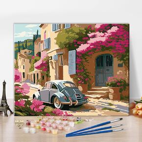 Paint by Number for Adult Summer Rural Scenery Oil Painting DIY Automobile Flower Painting Fuzzy Style Paint by Numbers Kids Painting Gift Modern Home Wall Decor Living Room Canvas Art 16x20 in
