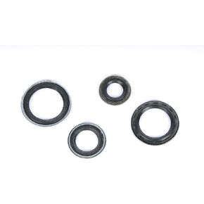 GM Genuine Parts 15-34478 Air Conditioning Thermal Expansion Valve Seal Kit with Tube Seals and Valve Seals