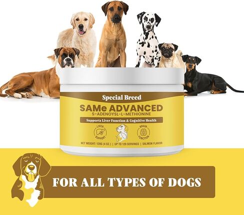 Same for Dogs - S-Adenosyl-L-Methionine, Same Advanced, Liver Support Supplement for Dogs, Brain and Cognitive Support, Sam e for Dogs (120 Grams) in Saudi Arabia