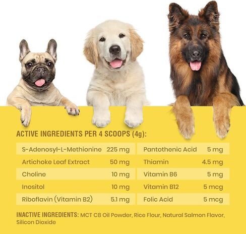 Same for Dogs - S-Adenosyl-L-Methionine, Same Advanced, Liver Support Supplement for Dogs, Brain and Cognitive Support, Sam e for Dogs (120 Grams) in Saudi Arabia