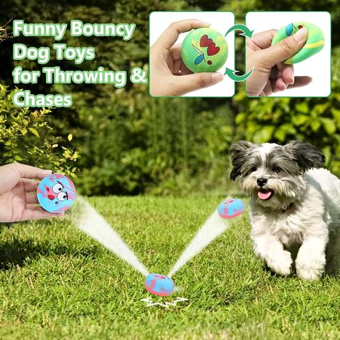 Squeaky Dog Toys Cute Shape Funny Natural Rubber Dog Chewing Chase Toys for Small and Medium Breeds 6 Pcs/Set in Kuwait