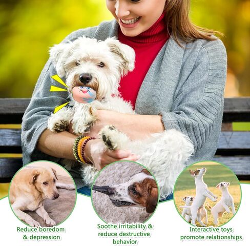Squeaky Dog Toys Cute Shape Funny Natural Rubber Dog Chewing Chase Toys for Small and Medium Breeds 6 Pcs/Set in Kuwait