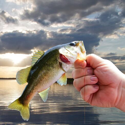 Jake's Lures Stream-a-Lure Silver | Spinner Lure for Fishing | Great for Bass, Musky, Pike, and More | Fishing Lures and Accessories | Weight - 1/6 oz in Saudi Arabia