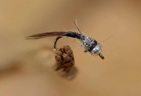 Black Ops Rainbow Warrior Midge Nymph Fly - 12 Flies - Mustad Signature Hook - Choose Size in Saudi Arabia