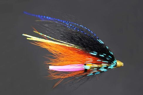 Tigofly 24 pcs/lot Blue&Black Feather Cone Head Tube Fly Streamer Salmon Trout Steelhead Fly Fishing Flies Lures in Saudi Arabia