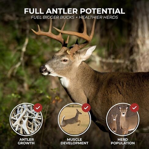 Rack Magnet Deer Block: 20 lb Deer Mineral Block with Apple Molasses Flavor, 15% Protein Attractant for Deer, Long Lasting Hunting Mineral Supplement for Trails, Cameras & Feed Sites in Saudi Arabia