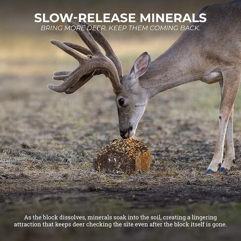 Rack Magnet Deer Block: 20 lb Deer Mineral Block with Apple Molasses Flavor, 15% Protein Attractant for Deer, Long Lasting Hunting Mineral Supplement for Trails, Cameras & Feed Sites in Saudi Arabia