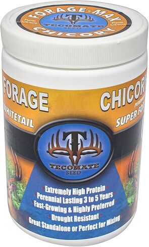 Tecomate Champion Chicory (3 LBS and 25 LBS)- Food Plot Seed in Saudi Arabia