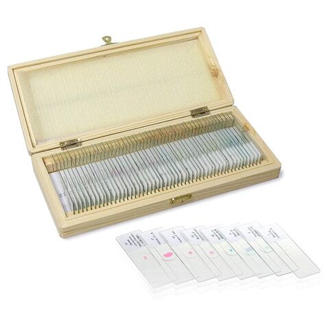 100PCS Microscope Slides with Specimens Prepared Slides Set with Wooden Box Dim.75mmx25mm, Ground Edges, 45° Safety Corners for Kids, Adults LVQ092 in Kuwait