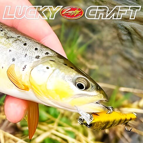 LUCKY CRAFT Pointer 65XD, Jerkbait, Trout Fishing Lure, Freshwater Bass Fishing Lure, Suspending Hard Bait with Side-to-Side Action, Weight Fixed Low Center Balancer in Saudi Arabia