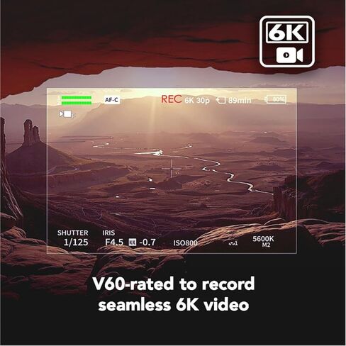 Professional Armor Gold 512GB UHS-II V60 SDXC Memory Card in Saudi Arabia