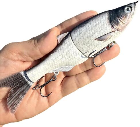 17Cm 43G Two Section Shad 3D Realistic Fishing Lure with Soft Tail in Kuwait