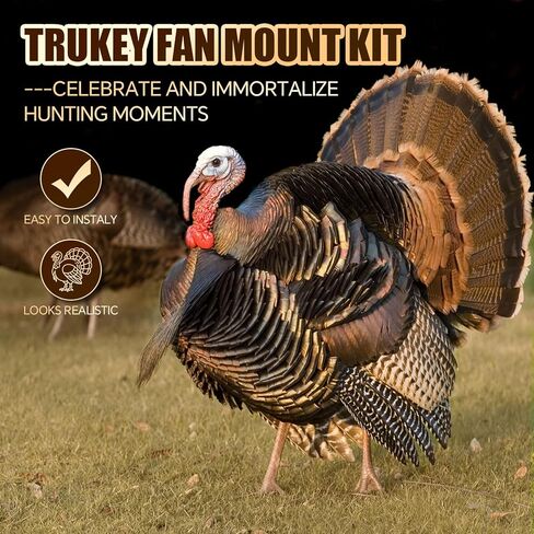 Chumia 1 Pack Turkey Fan Mount Kit, Turkey Tail Beard Mounting Kit Durable Easy to Assemble with Hardware for Hunting Display Hunter Gifts in Saudi Arabia